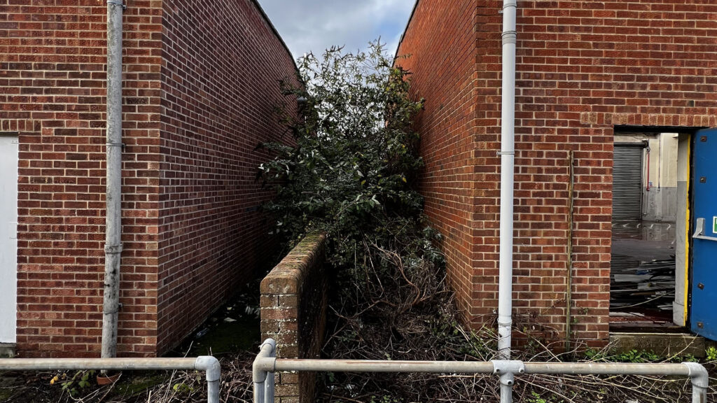 What Happens If You Ignore Party Wall Etiquette Rushden